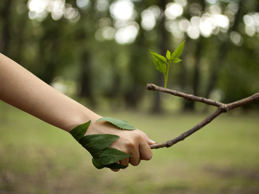Industria Sustentável Brasileira