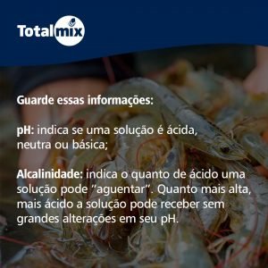 Rede social 1